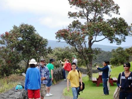 Viewing area from Volcano House in Volcanoes National Park